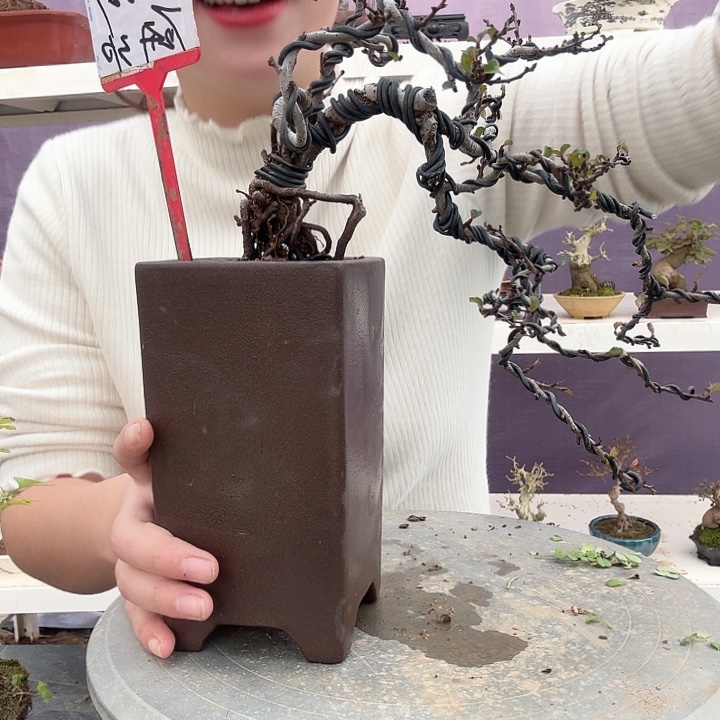 @***生无花朵11111111111