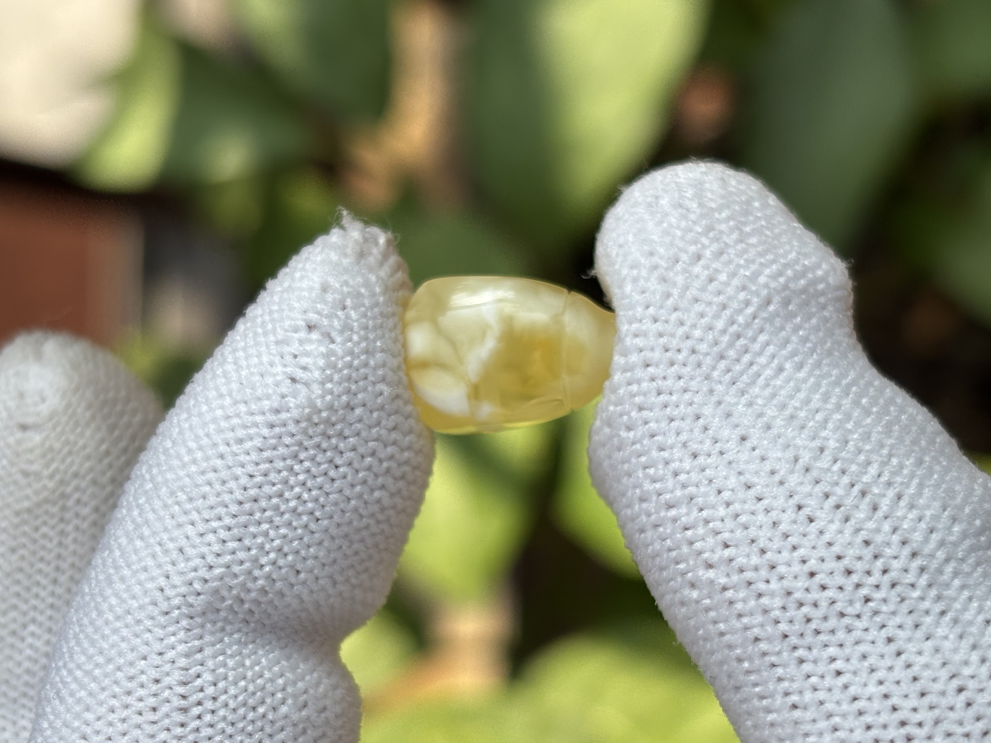 4981天然蜜蜡琥珀三通配饰9.6x15x7.9mm