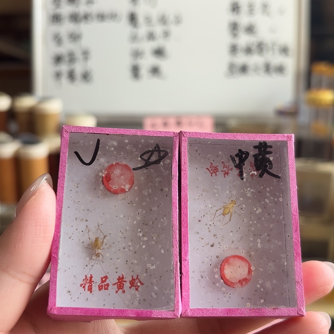 两条长须黑眼中黄