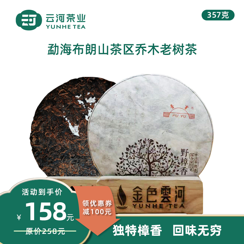 直播专享 云河2008年野樟香老熟茶独特樟香普洱茶