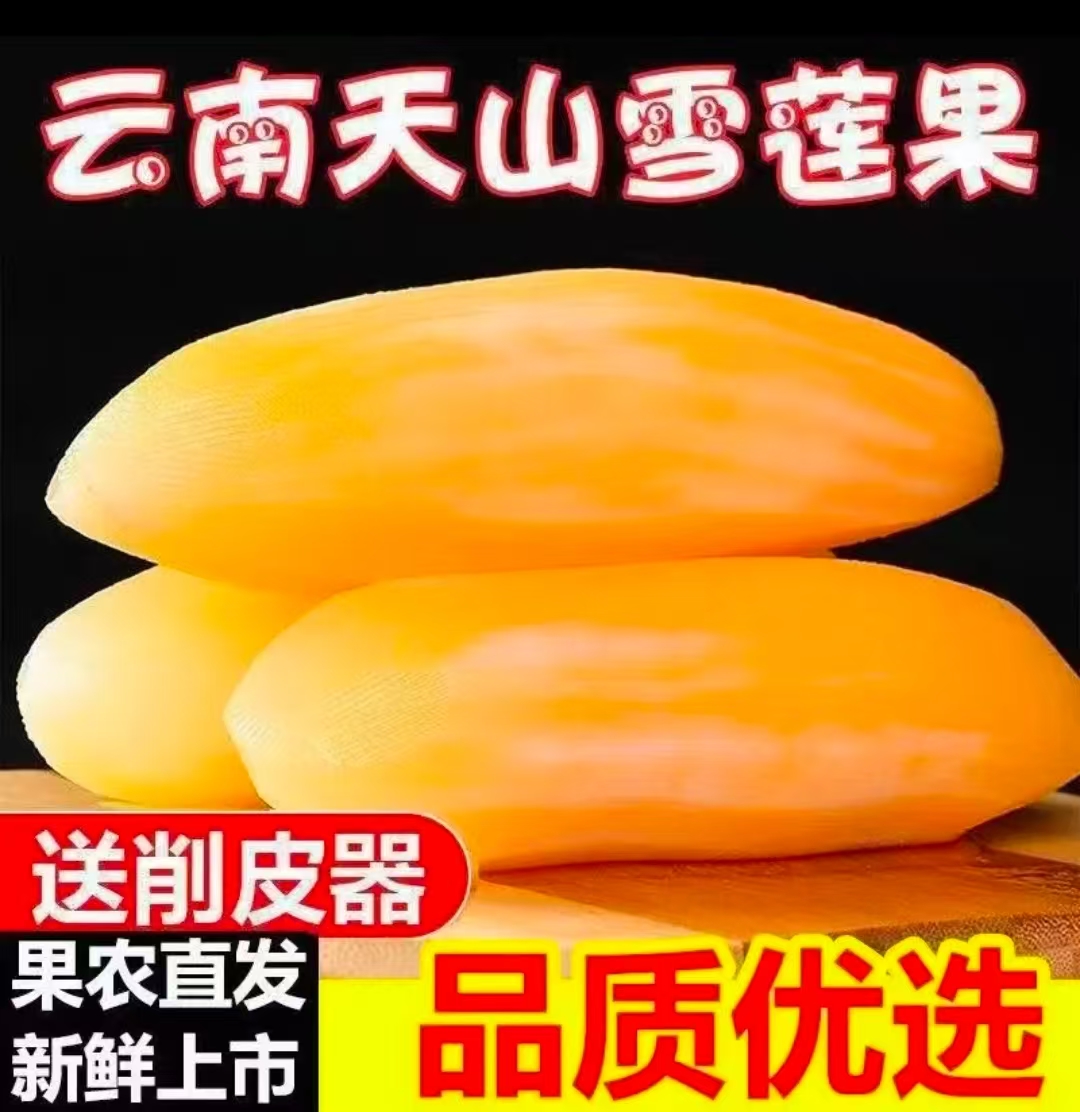 云南天山雪莲果黄心新鲜应季水果清甜脆爽多汁产地现挖现发x