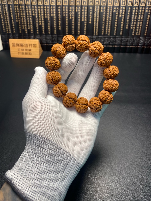 尼泊尔金刚菩提：1号