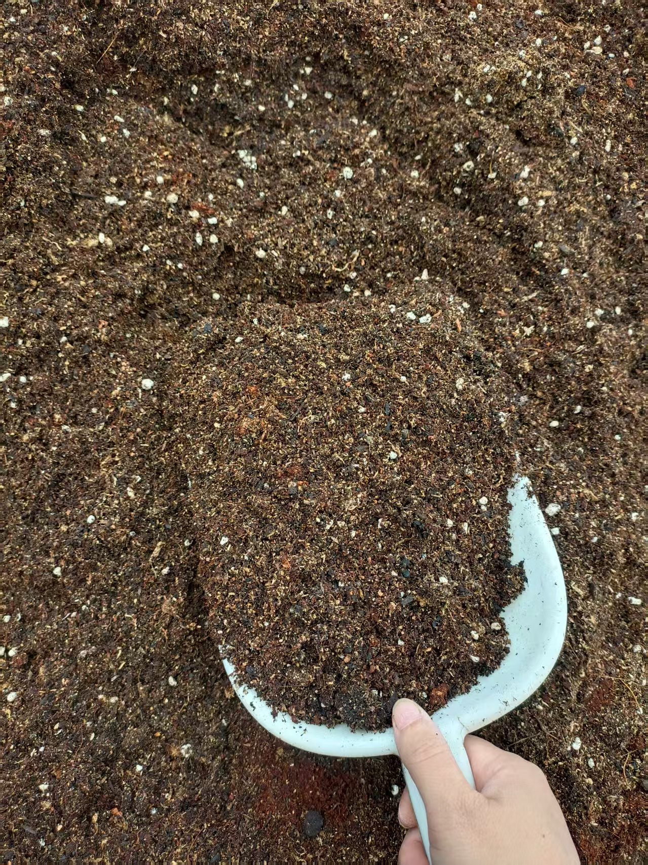 纯基质草莓蔬菜专用营养土