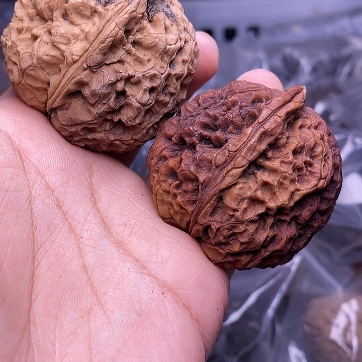 文玩核桃把件   174