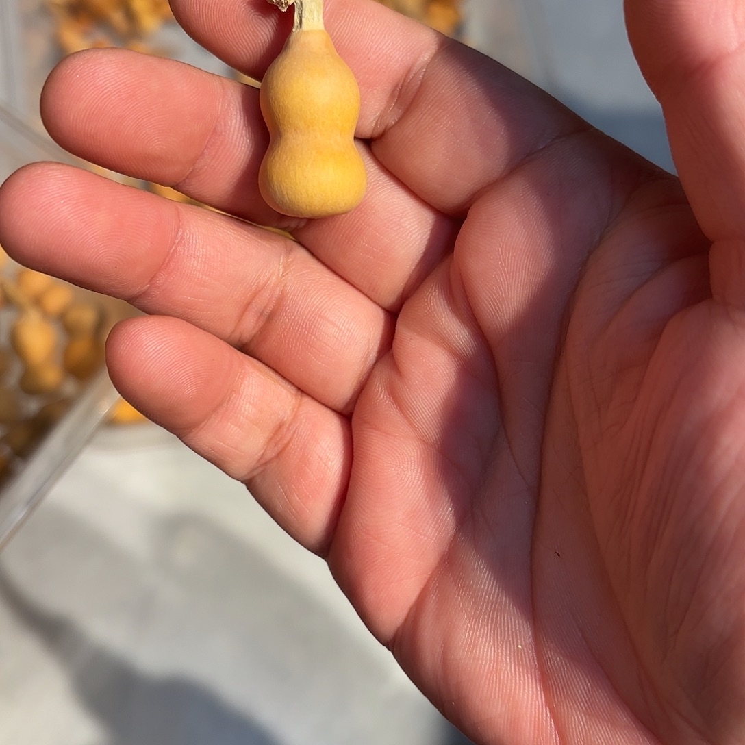 盛***夏哈哈哈哈哈哈哈哈哈哈哈哈