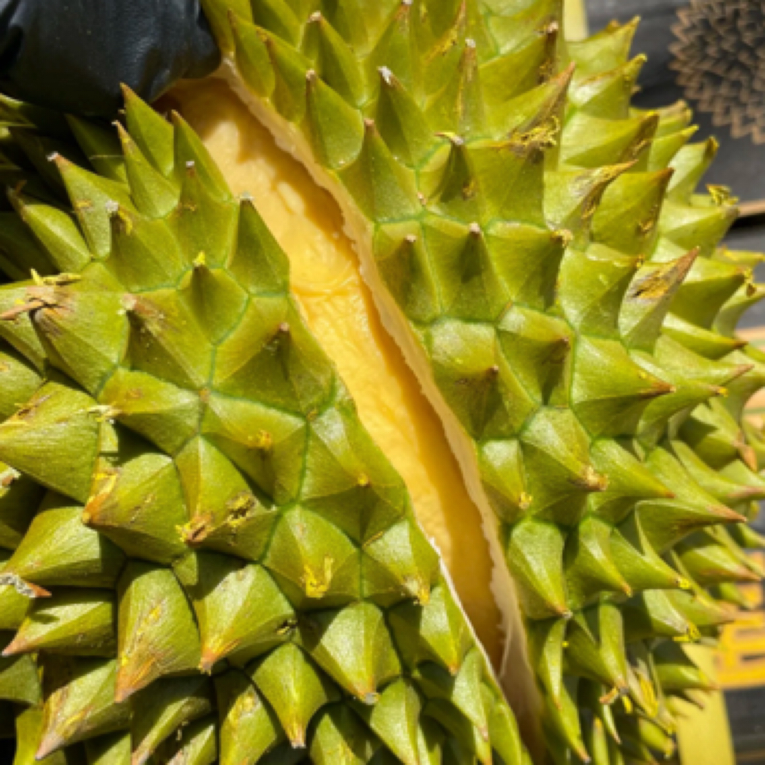 （鑫亿联严选）新鲜榴莲批发干尧金黄果肉14斤-15斤核大干尧越南干尧越南社会主义共和国