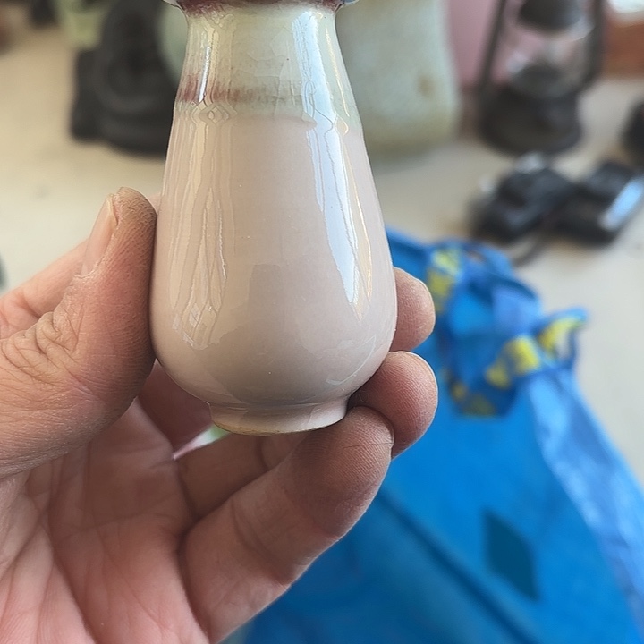 瑞***雪杂色豆（科檀/科特迪瓦檀木）