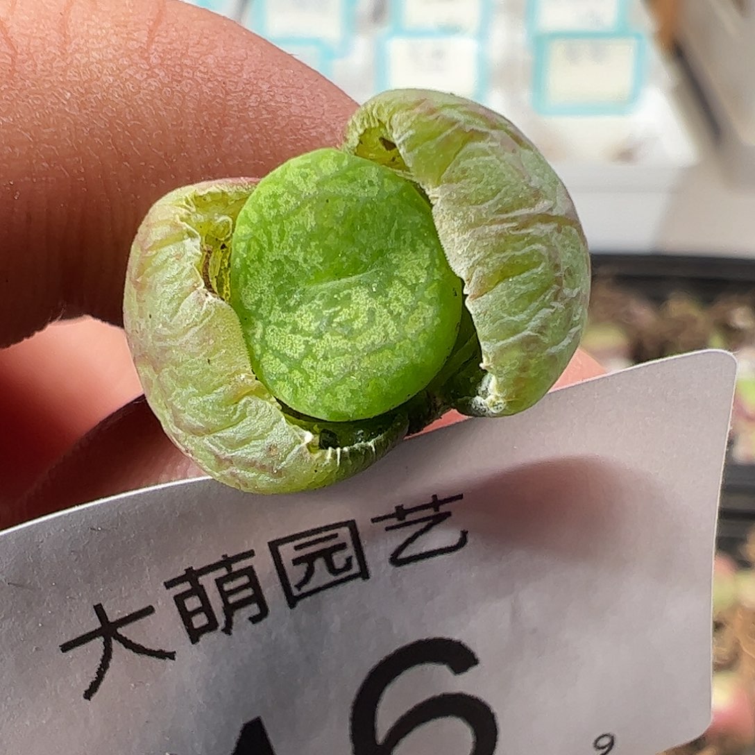 000016一物一拍……