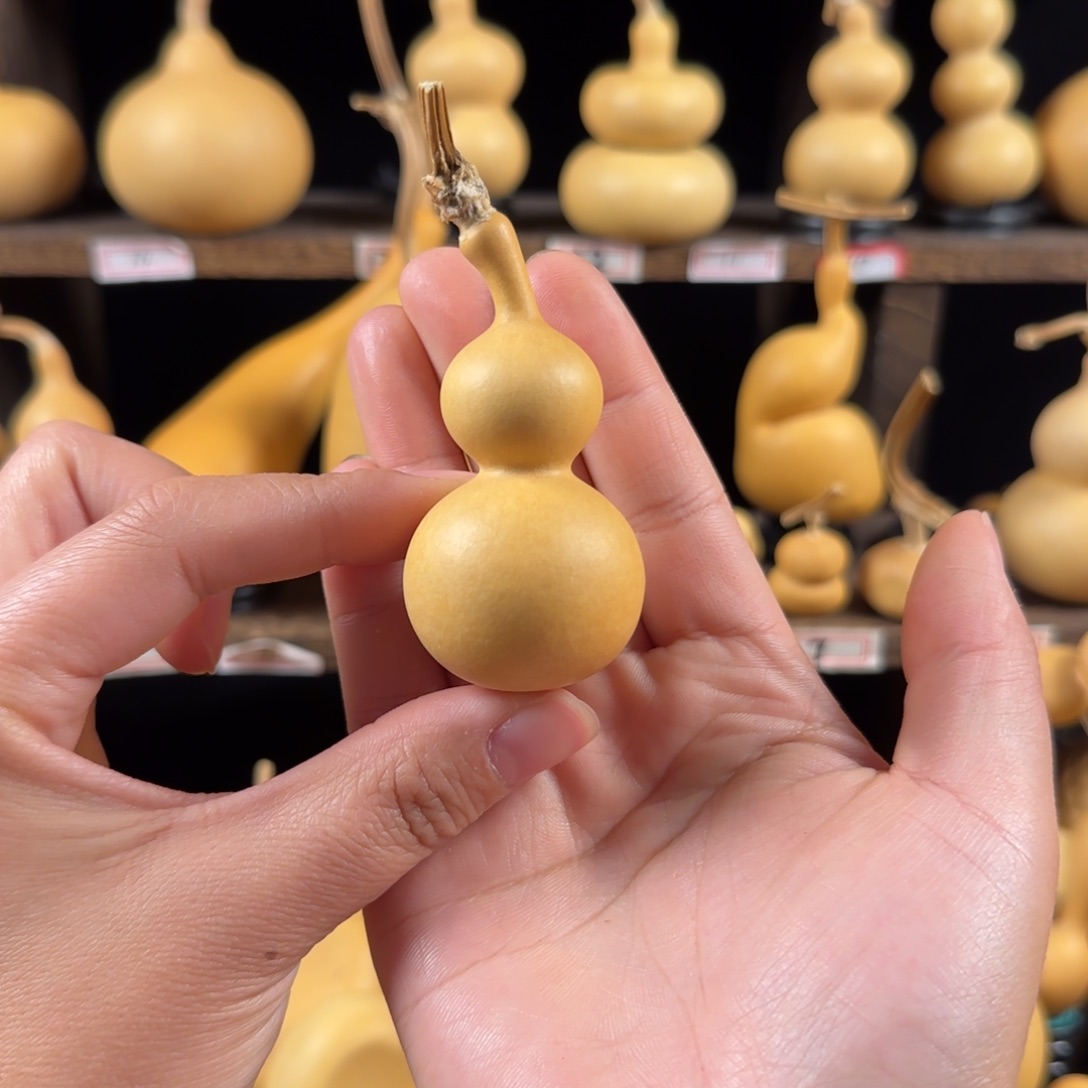 苗***地葫芦葫芦葫芦葫芦葫芦