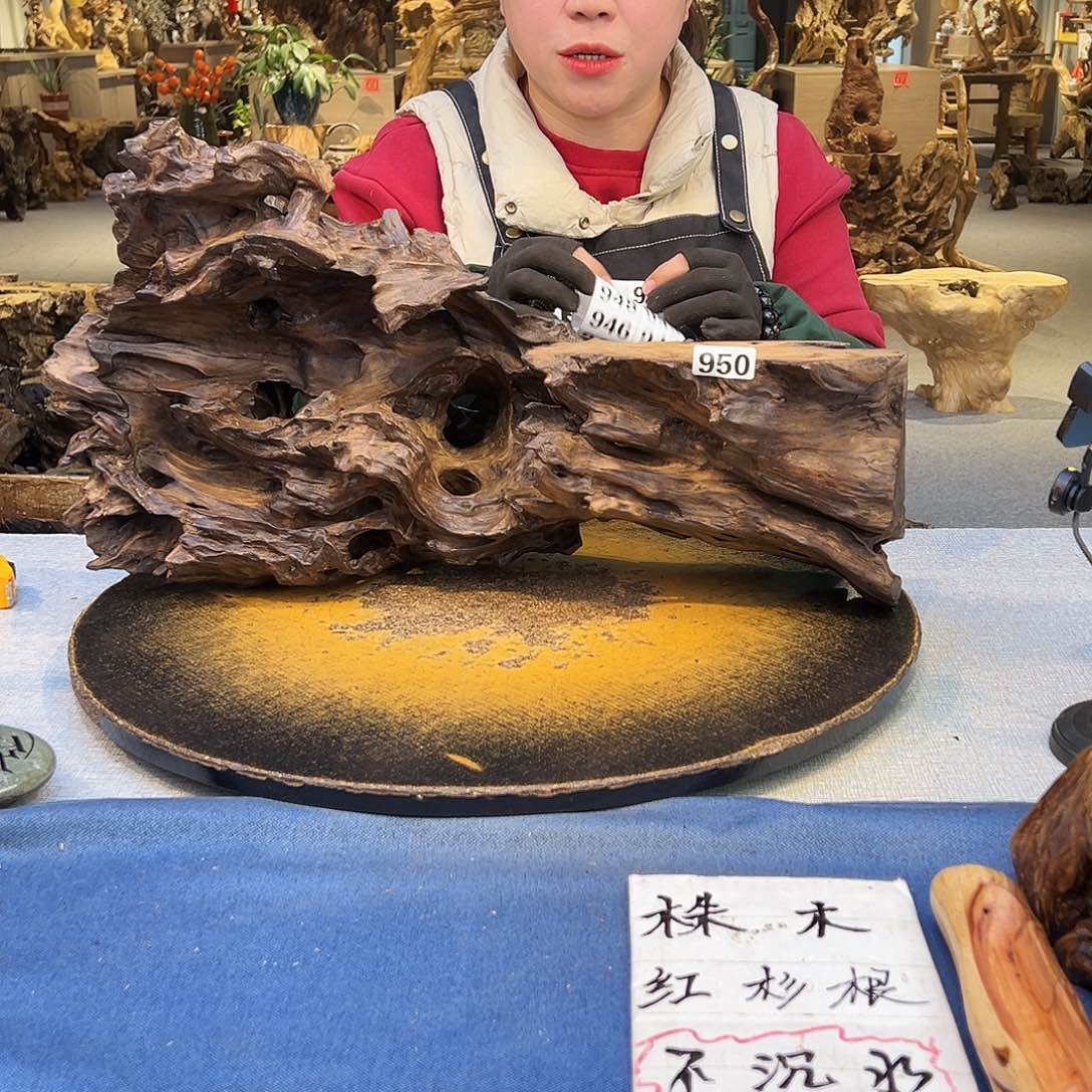 苏***哥香榧木950xcbjjjjjjhbbbhhhhhnn