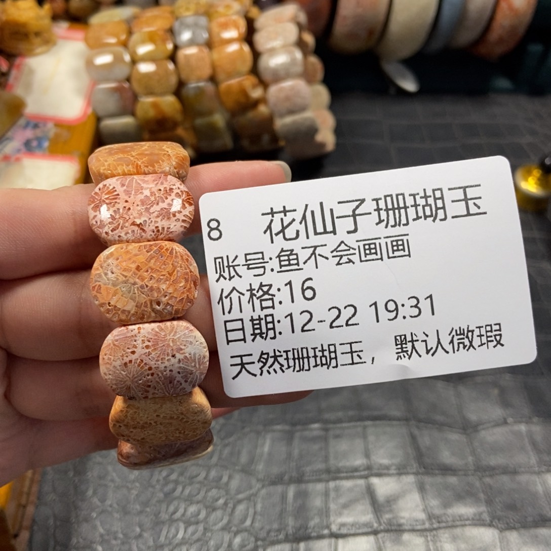 鱼***画硅化珊瑚（珊瑚玉）未镶嵌珠宝半成品8