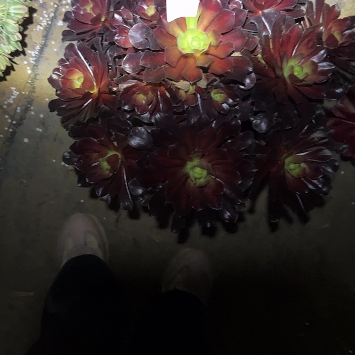 法师链接一物一拍83