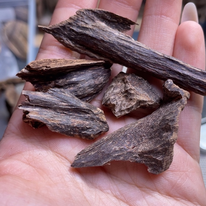 沉香海南屯昌黑油壳子4.5克重福利