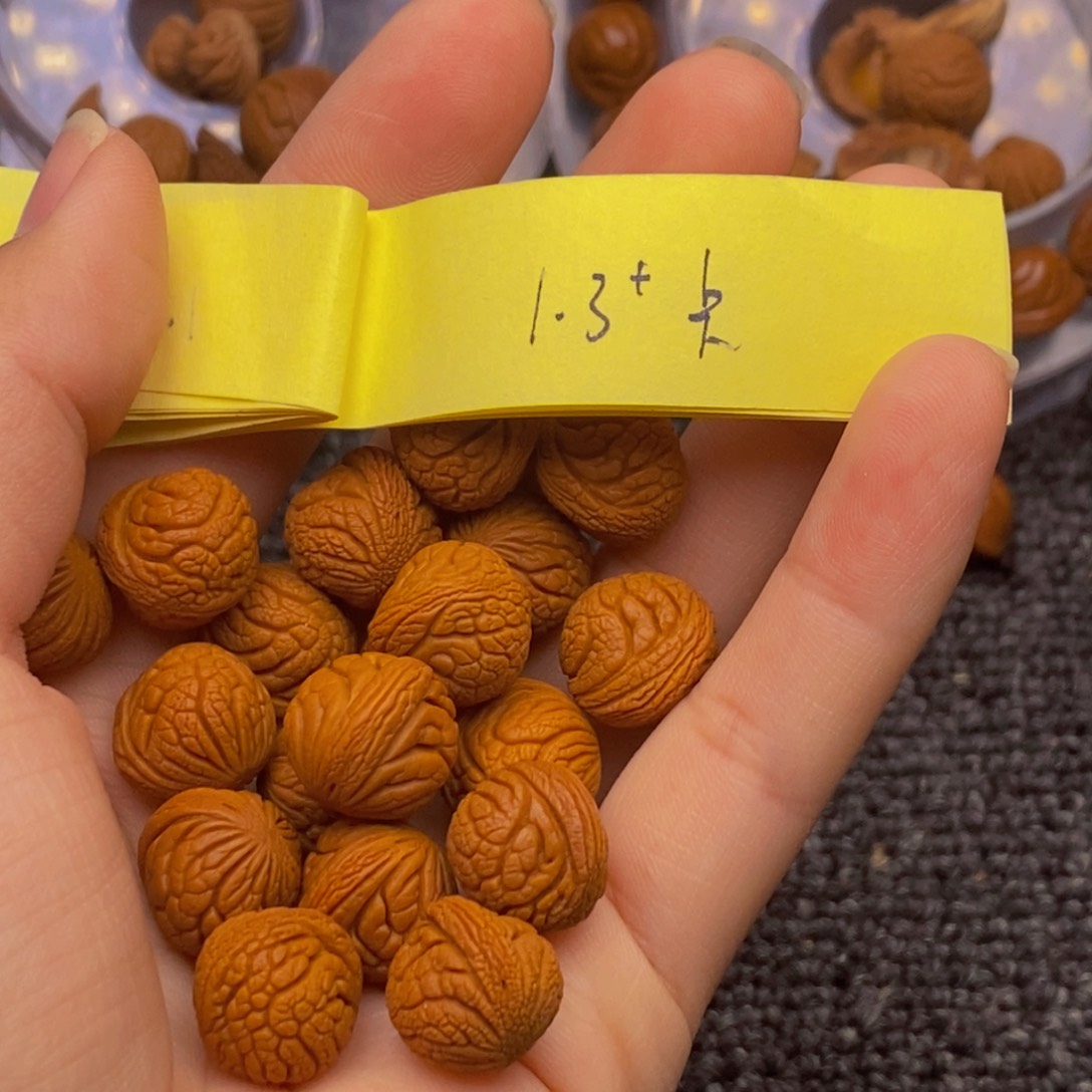 秦岭山脉龙纹桃核。18