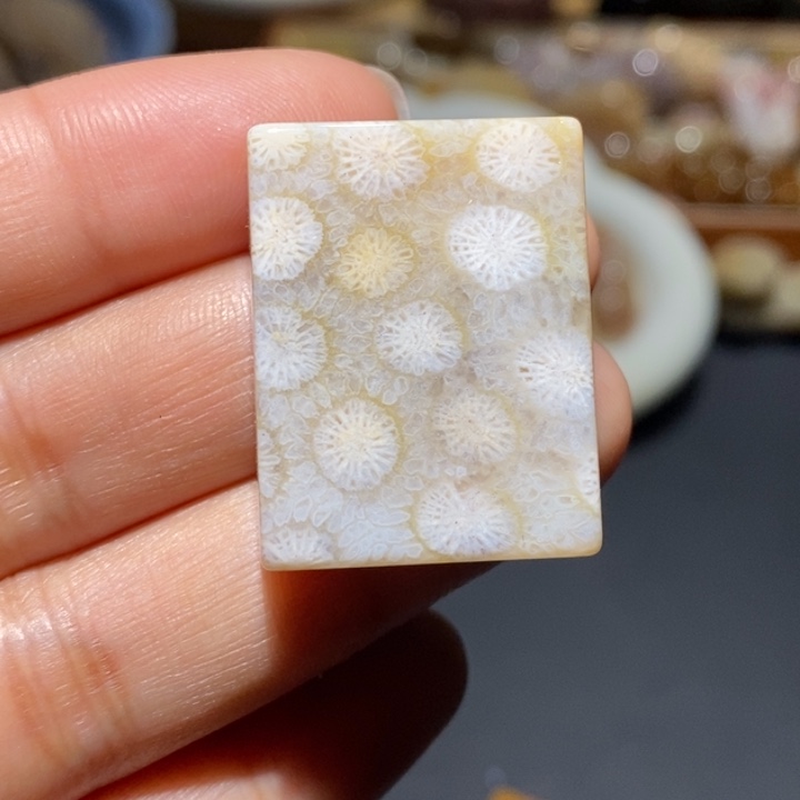 【闪购商品】未镶嵌珊瑚玉硅化玉