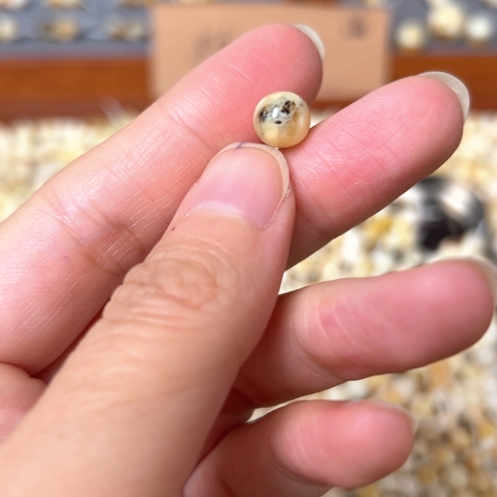 蜜蜡未镶嵌裸石7.4mm一个