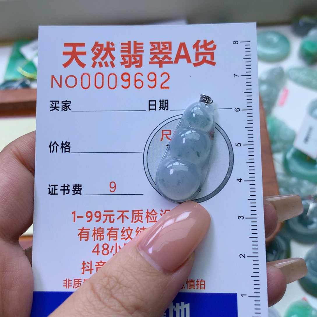 翡翠颈饰18K金镶嵌郝*翡翠