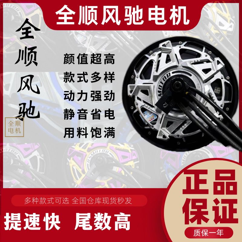全顺风驰10寸12寸电机改装高性能全新3000 4000 5000瓦片电机新款