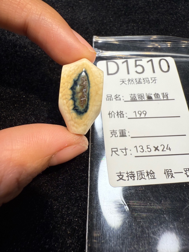 D1510天然猛犸牙蓝眼鲨鱼背配饰
