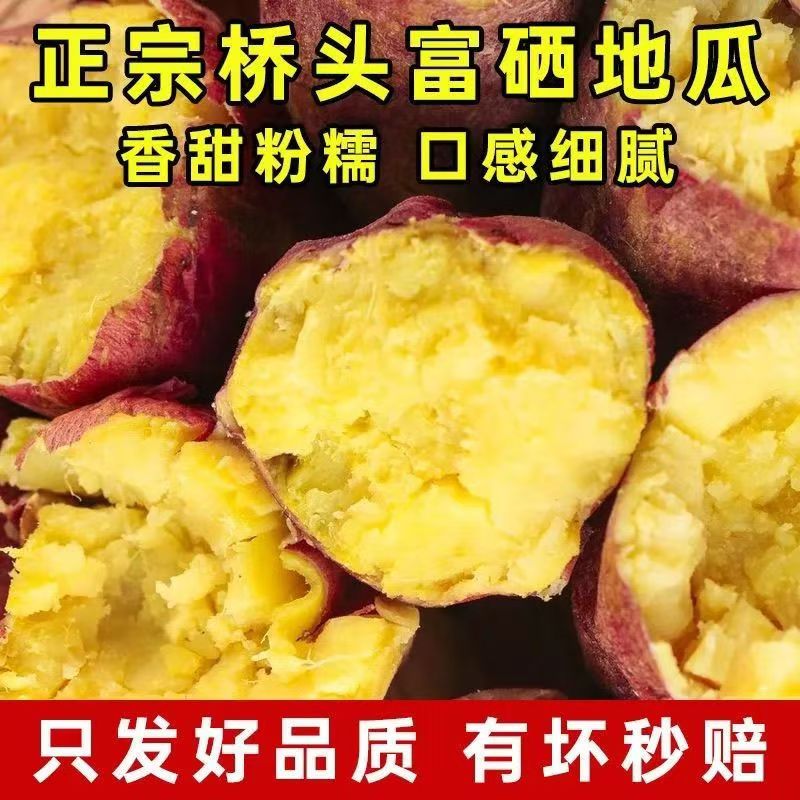 【顺丰包邮】海南澄迈桥头富硒地瓜板栗小红薯粉糯香甜3斤5斤装番薯新鲜红薯