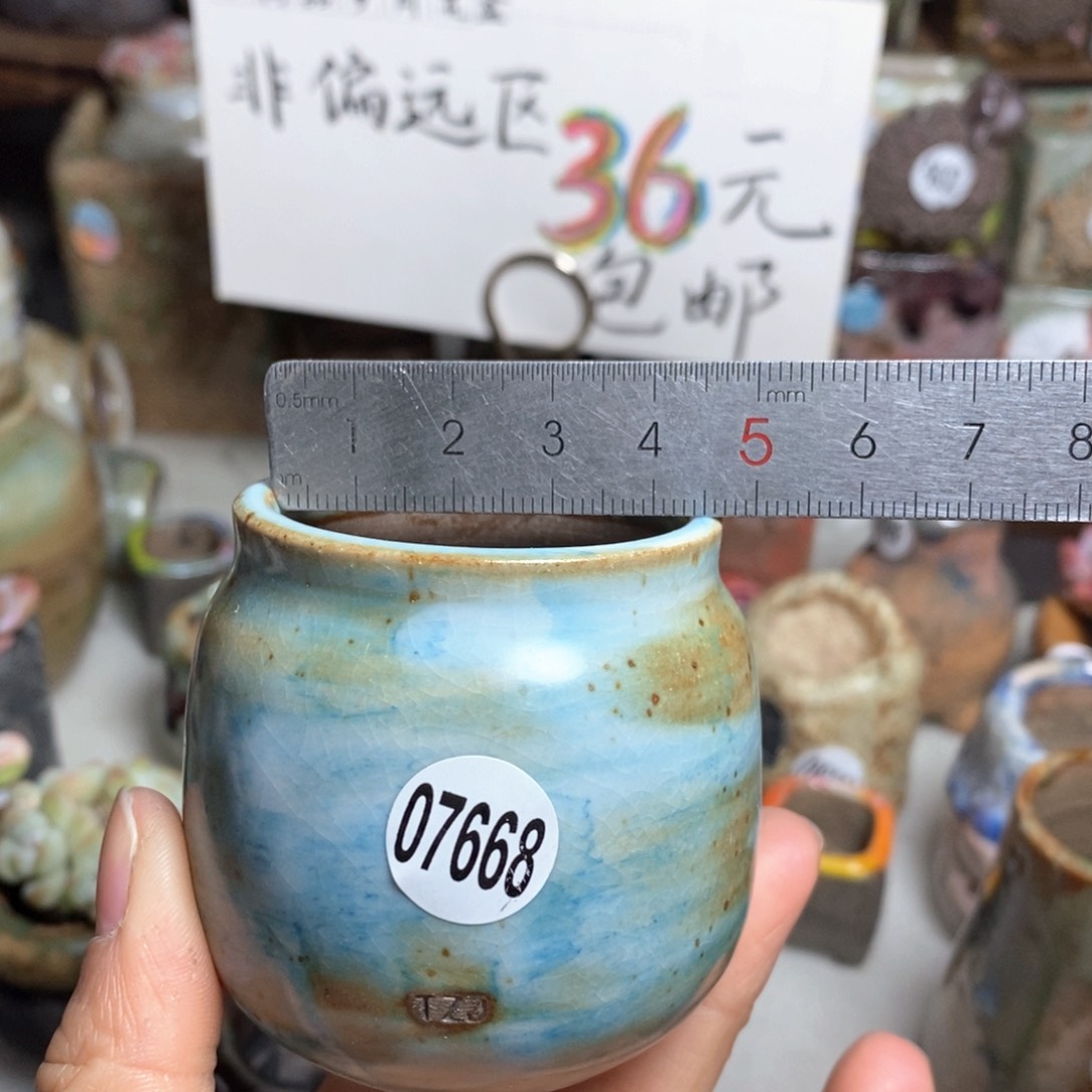 花盆拍5送一个小礼物 