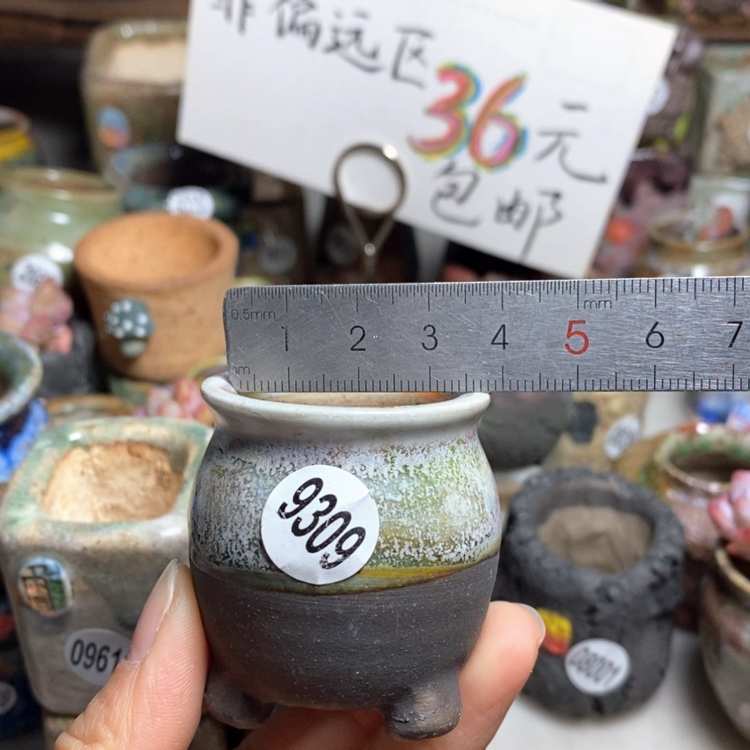 花盆拍5送一个小礼物