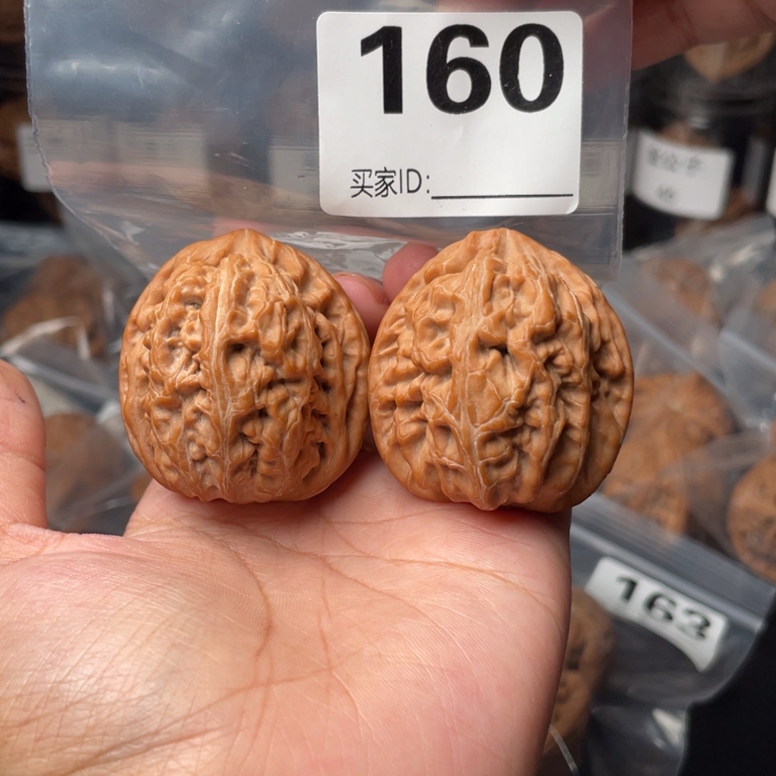 全品43红锦鲤43红锦鲤