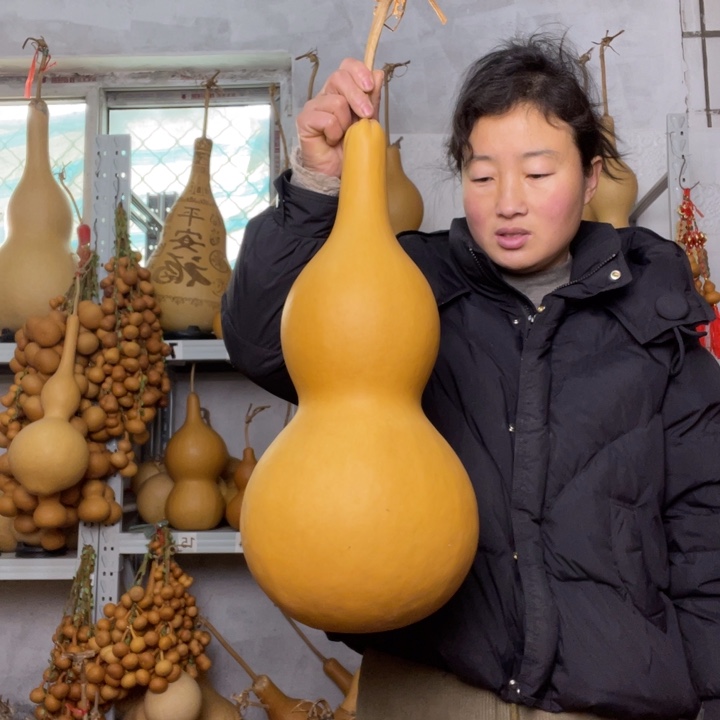 雯***好天然植物葫芦文玩
