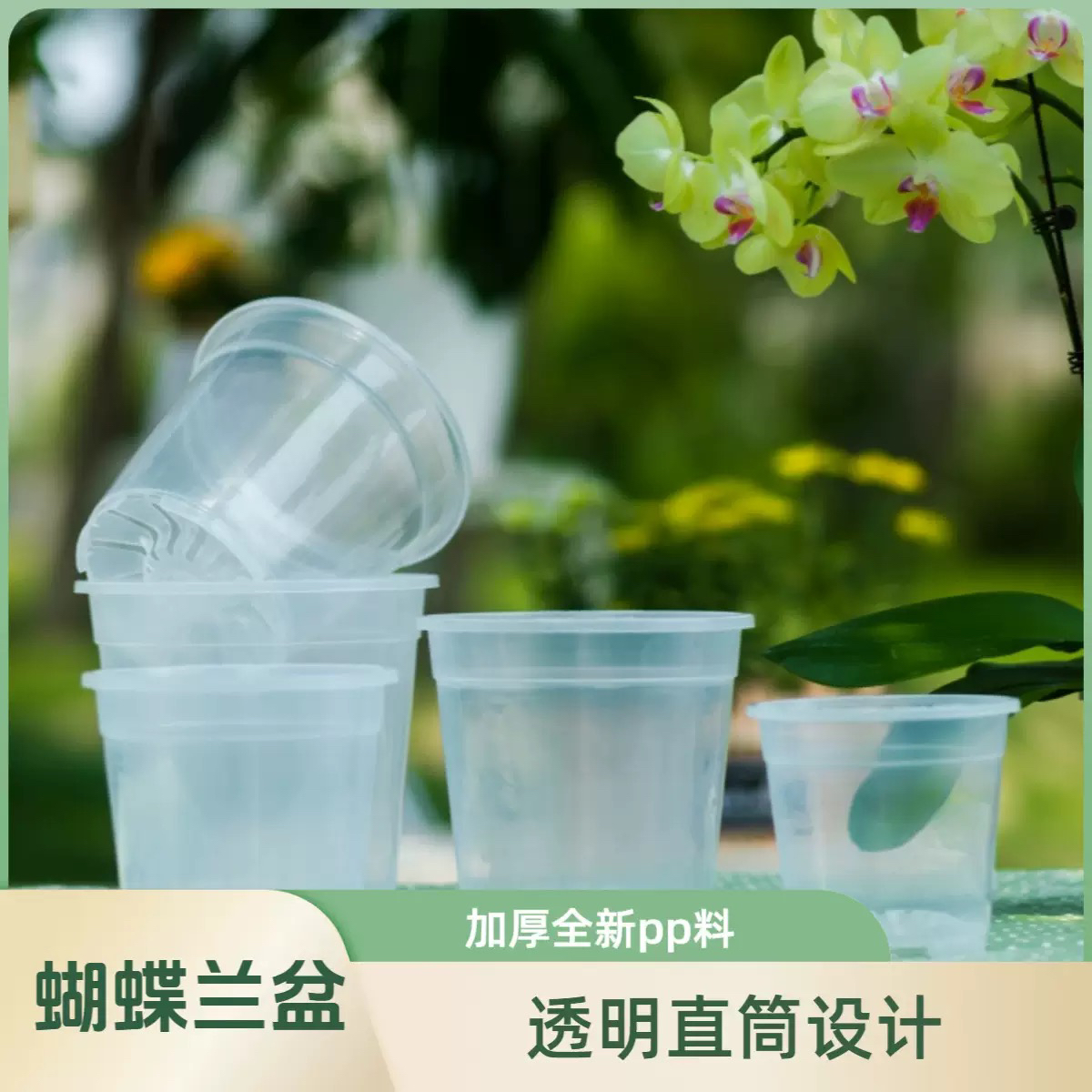 【5.5寸杯 口径17cm 10个装 带托盘】蝴蝶兰专用盆 控根盆