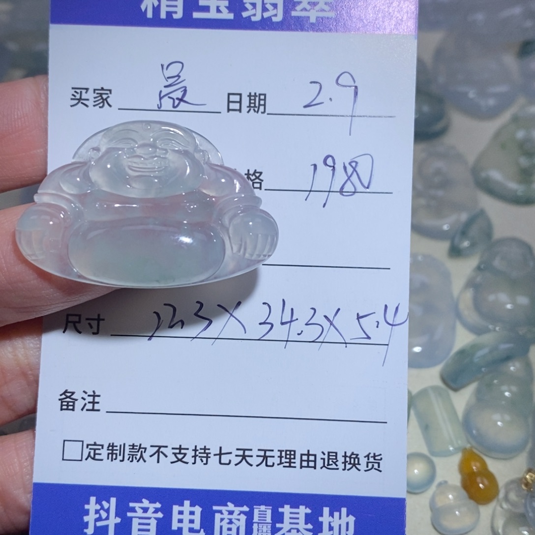 翡翠颈饰未镶嵌晨*