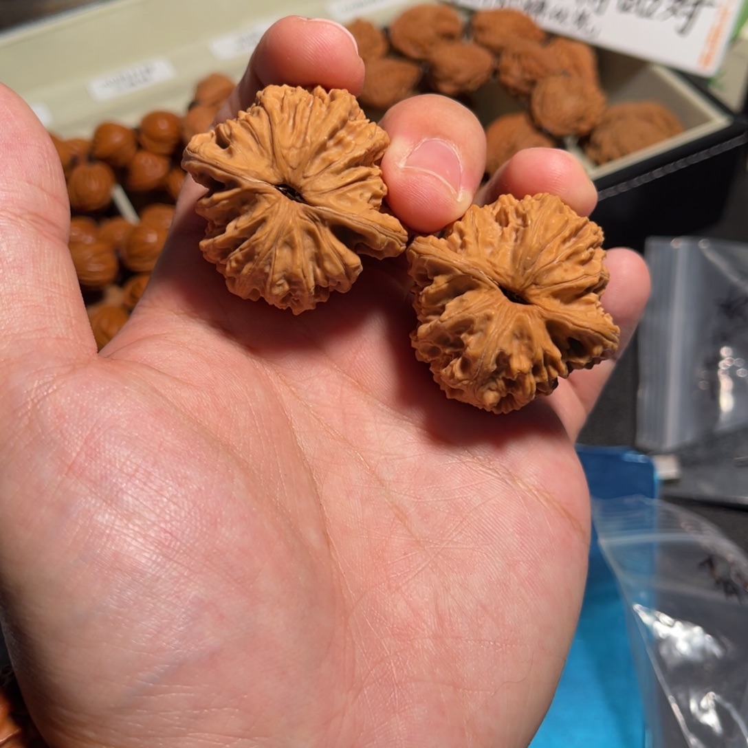 39全品盘龙虎头111