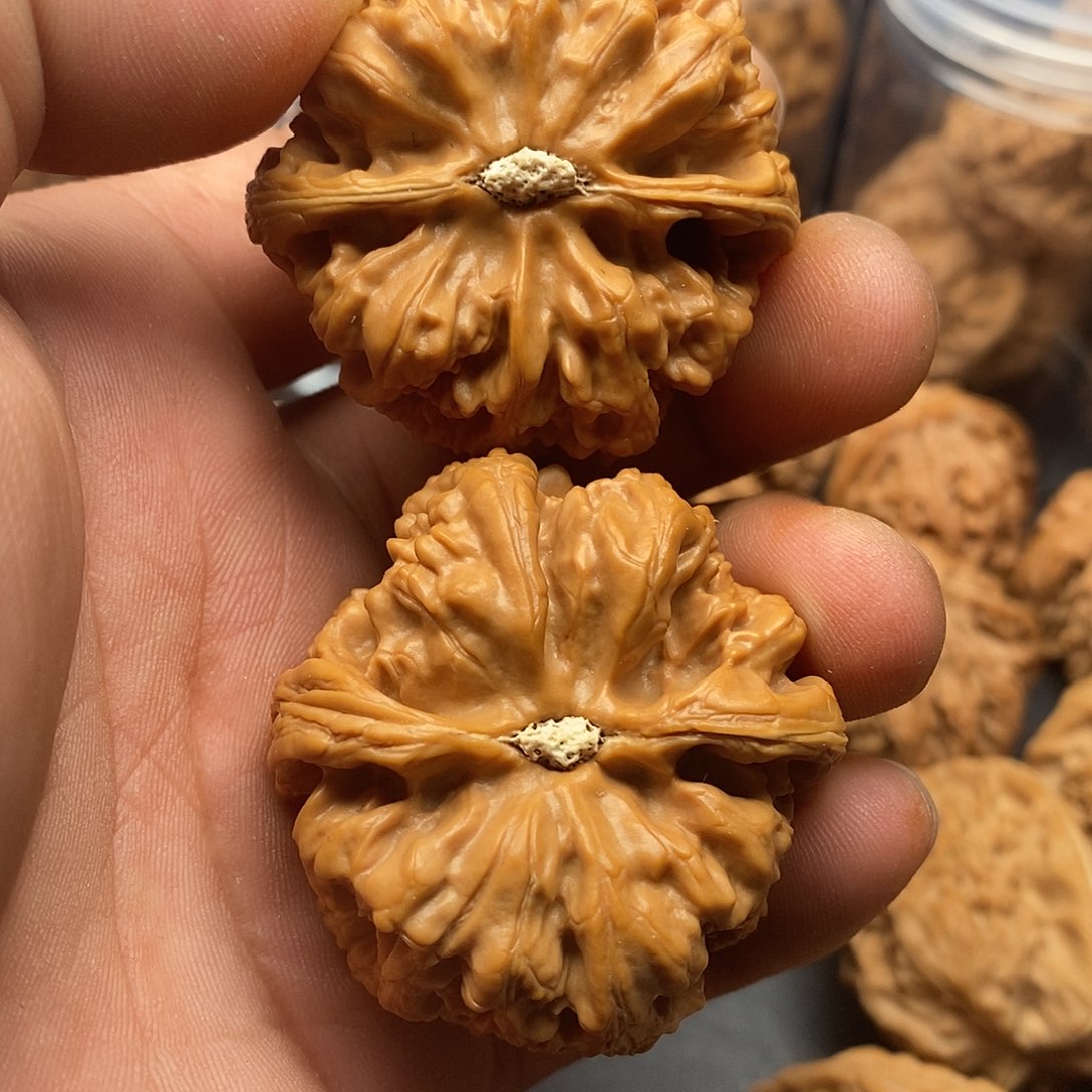 文玩核桃把件硬***茶粗筋46