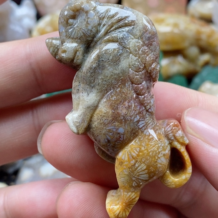 硅化珊瑚（珊瑚玉）颈饰未镶嵌