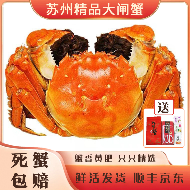 【活蟹】苏州精品大闸蟹全母4.2-3.8两母蟹10只礼盒装 京东鲜活发货