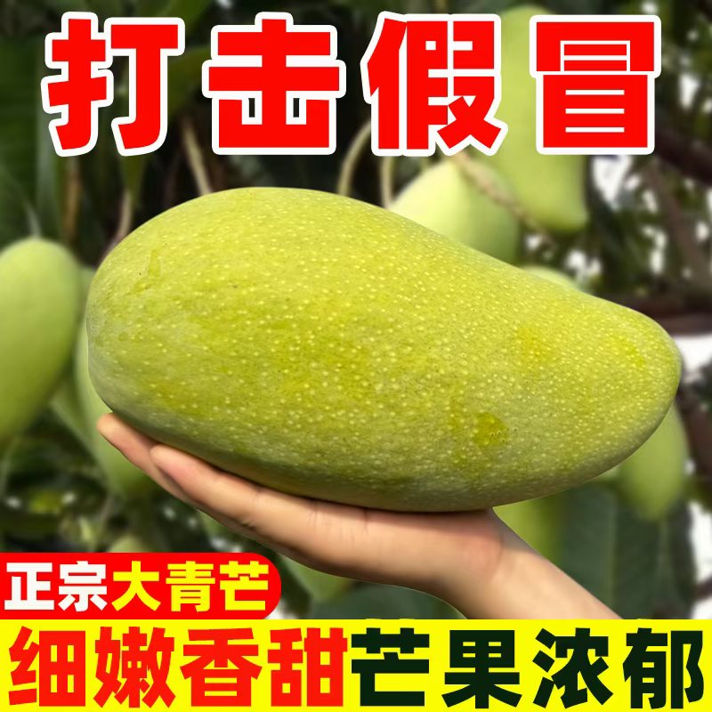 【放软食用】q云南高山头茬大青芒 带箱10斤装 金煌青芒