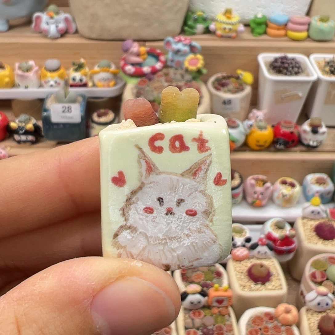 多肉植物98号拇指盆