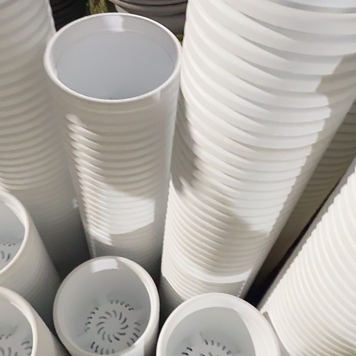 四季2号纯白无托10个