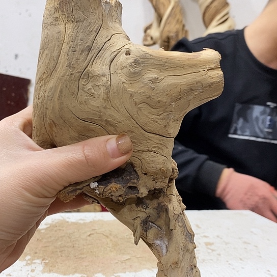 小***倩柏木我们都是好孩子