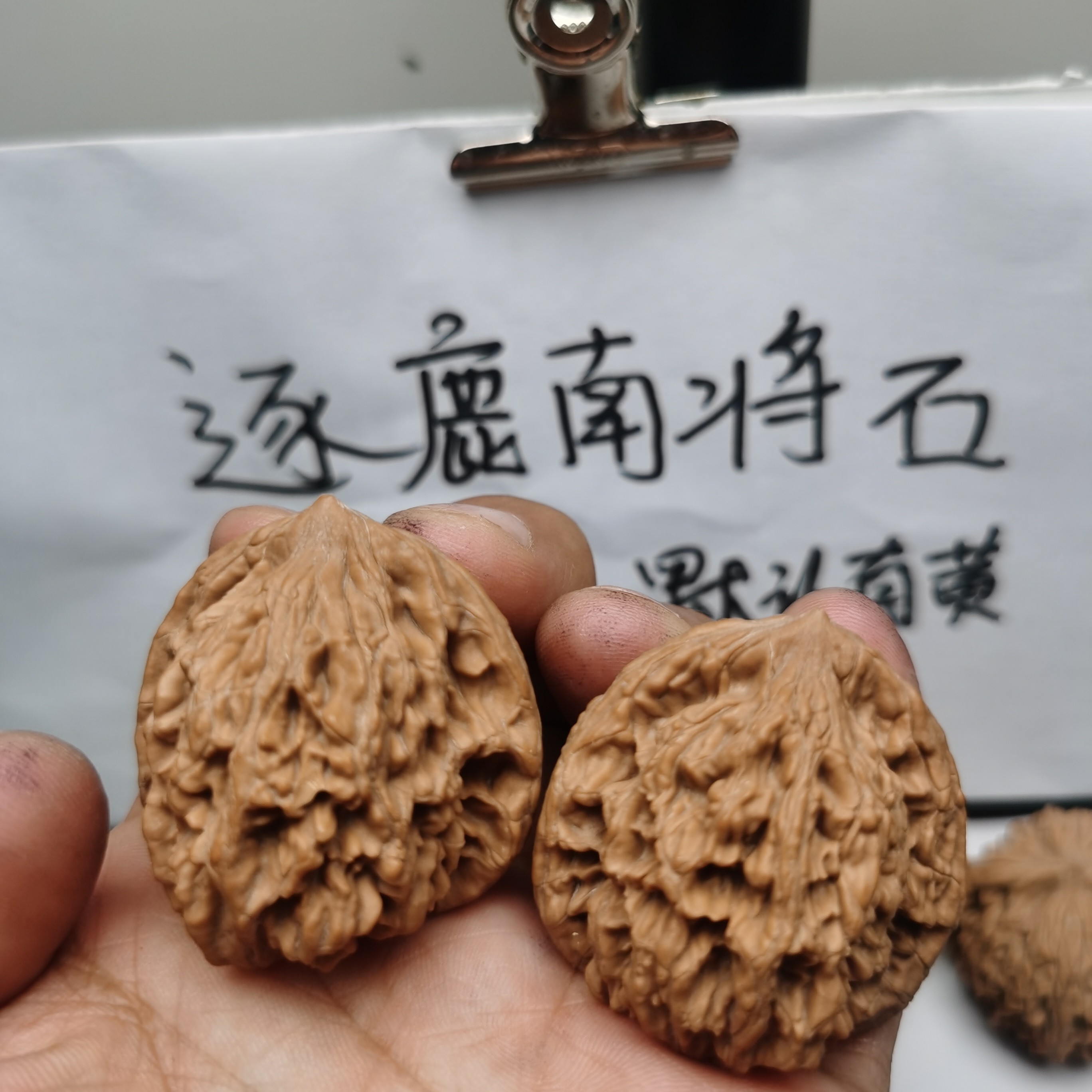 6..南将石虎头，边47，肚38高41