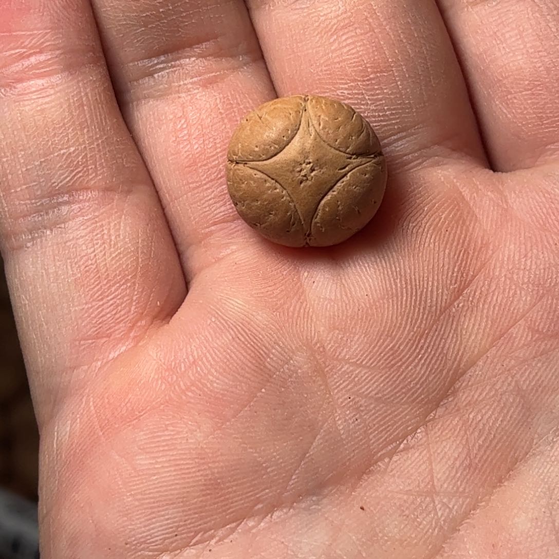 桃核吊坠16.8mm麒麟眼，开孔不退，偏远不包