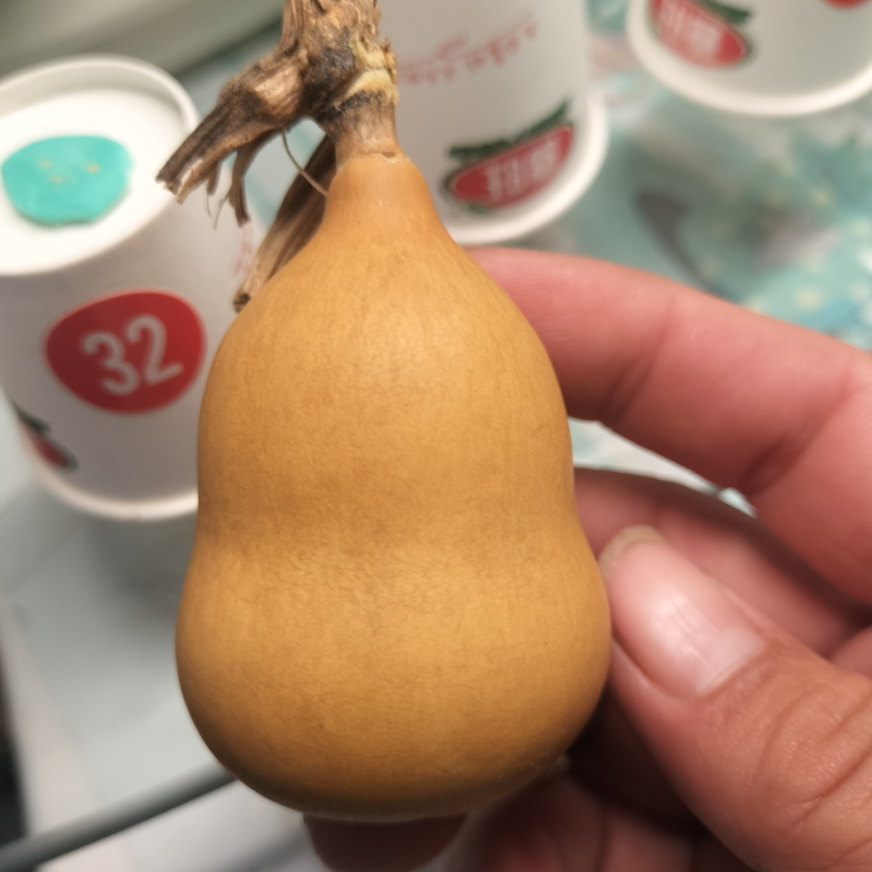 32号天然带龙头手捻小葫芦文玩手把件摆件可盘玩