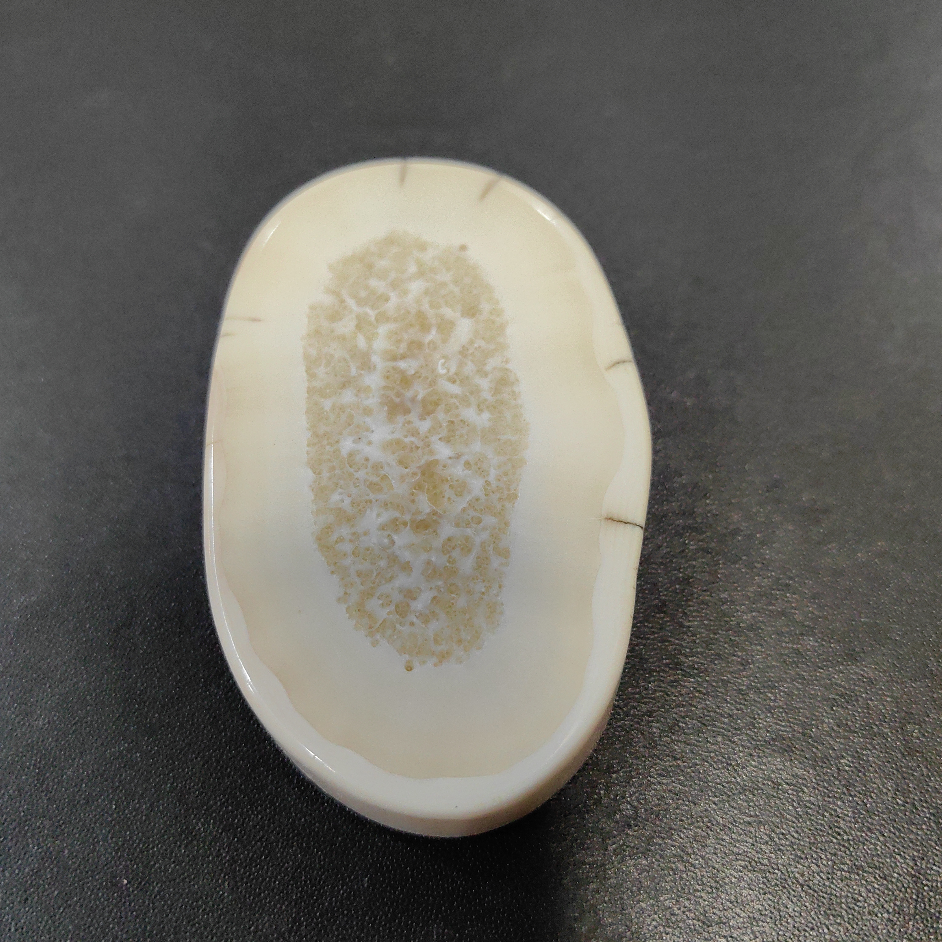 猛犸猛犸虬饼子  WT8