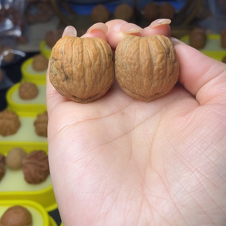 文玩核桃吊坠金蟾