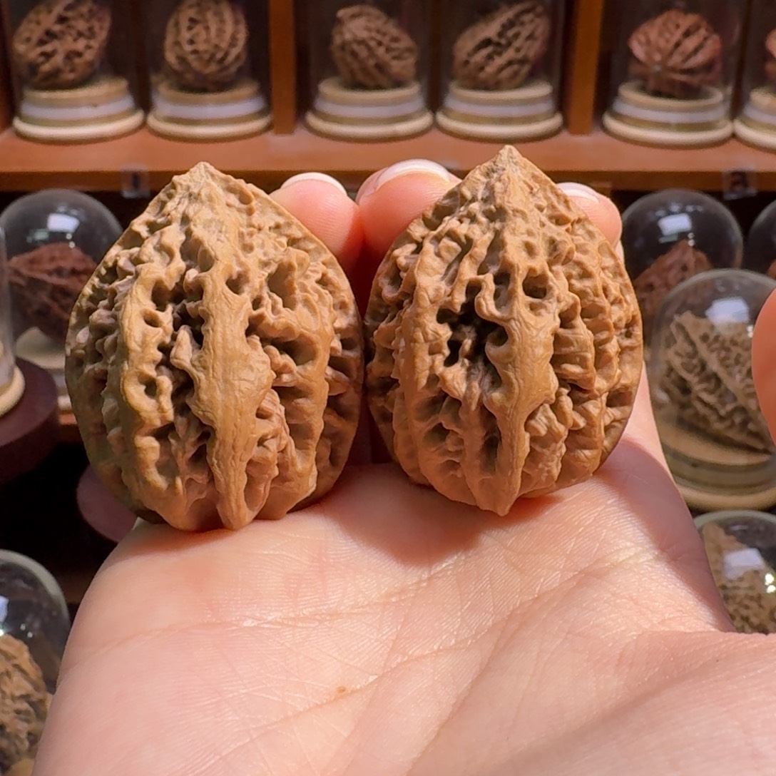 文玩核桃把件火焰珊瑚