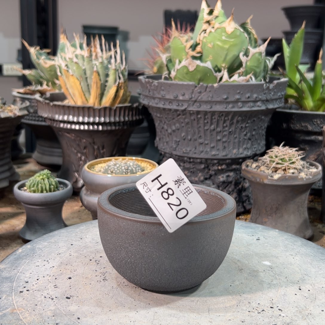 景德镇手工素里内口9高6