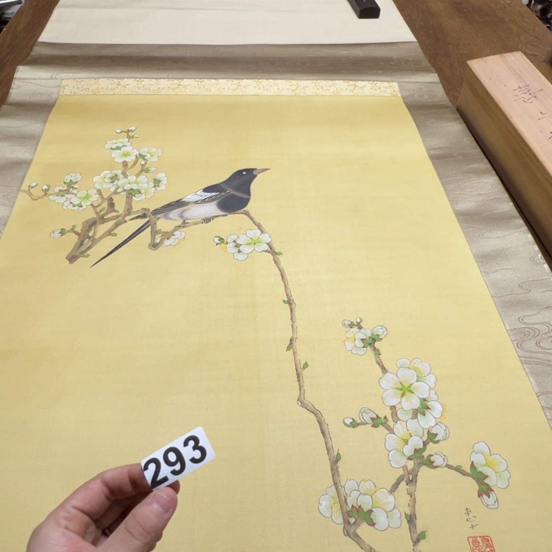 舒*哈哈哈哈我q293