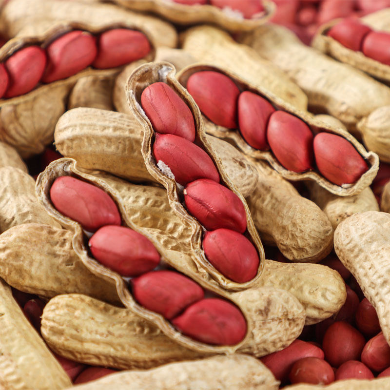 （阿梓代卖）四川农家花生带壳干货红皮