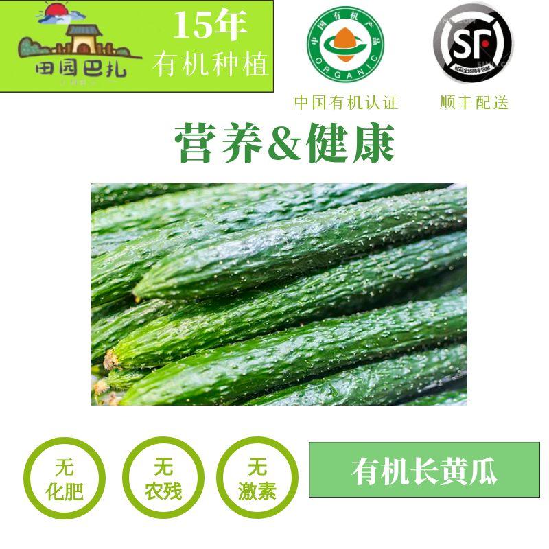 乌市包邮南山现采有机长黄瓜
