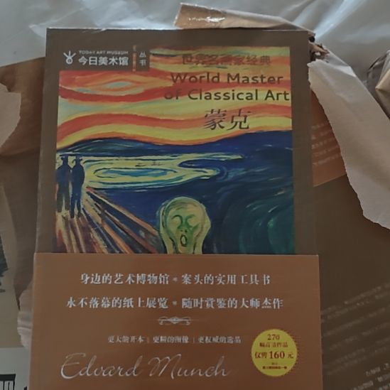 蒙克今日美术馆丛书。