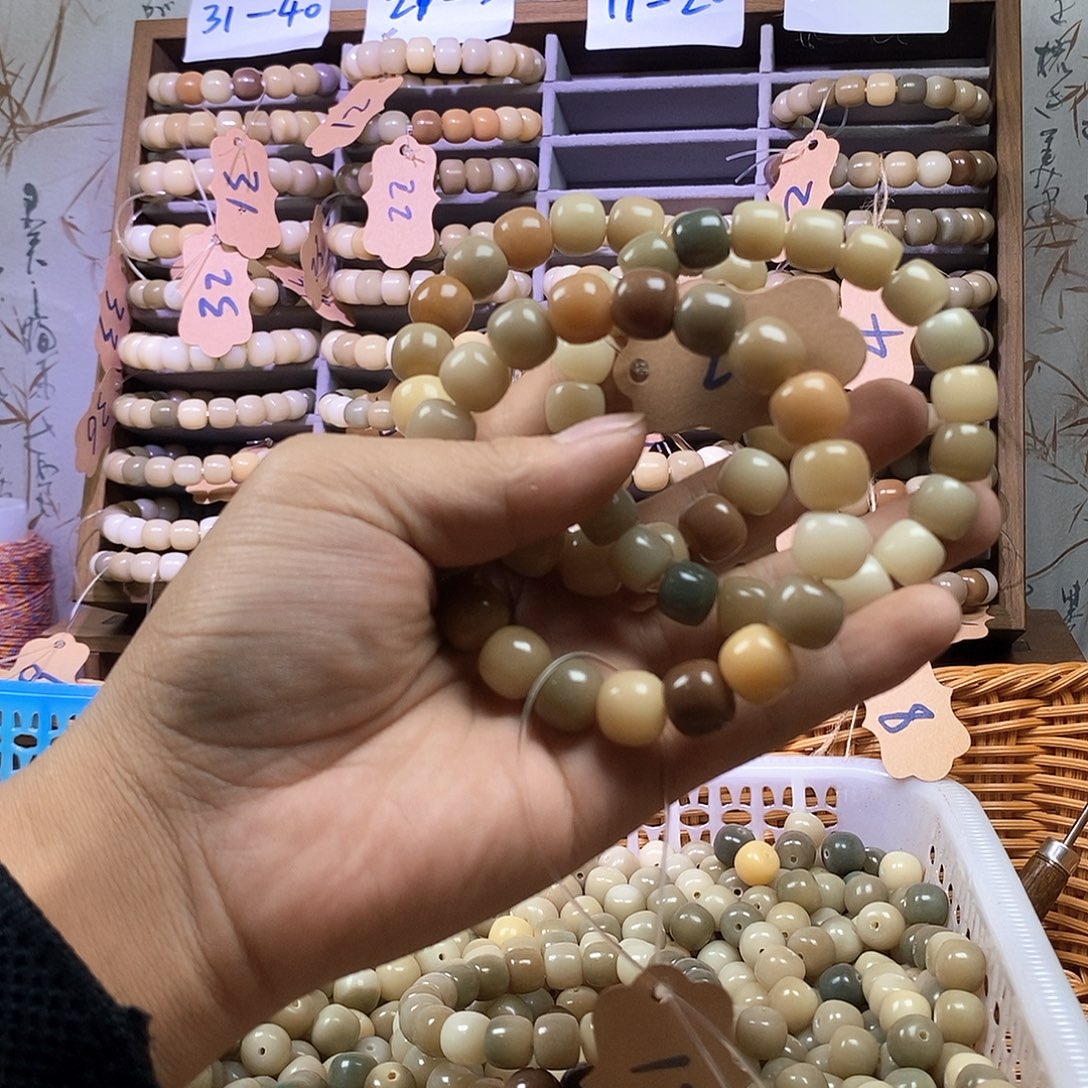 吊坠菩提根/象牙果